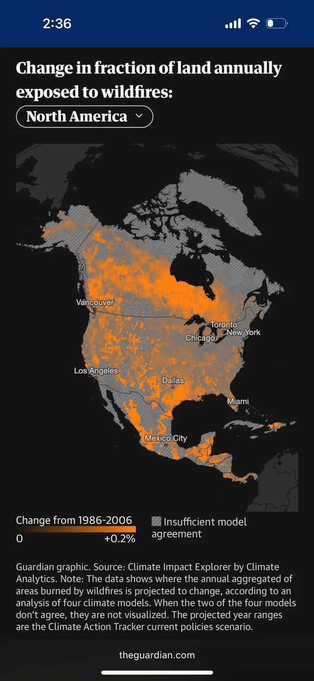 全球小麦产量地图：气候变化与粮食危机下的健身隐喻