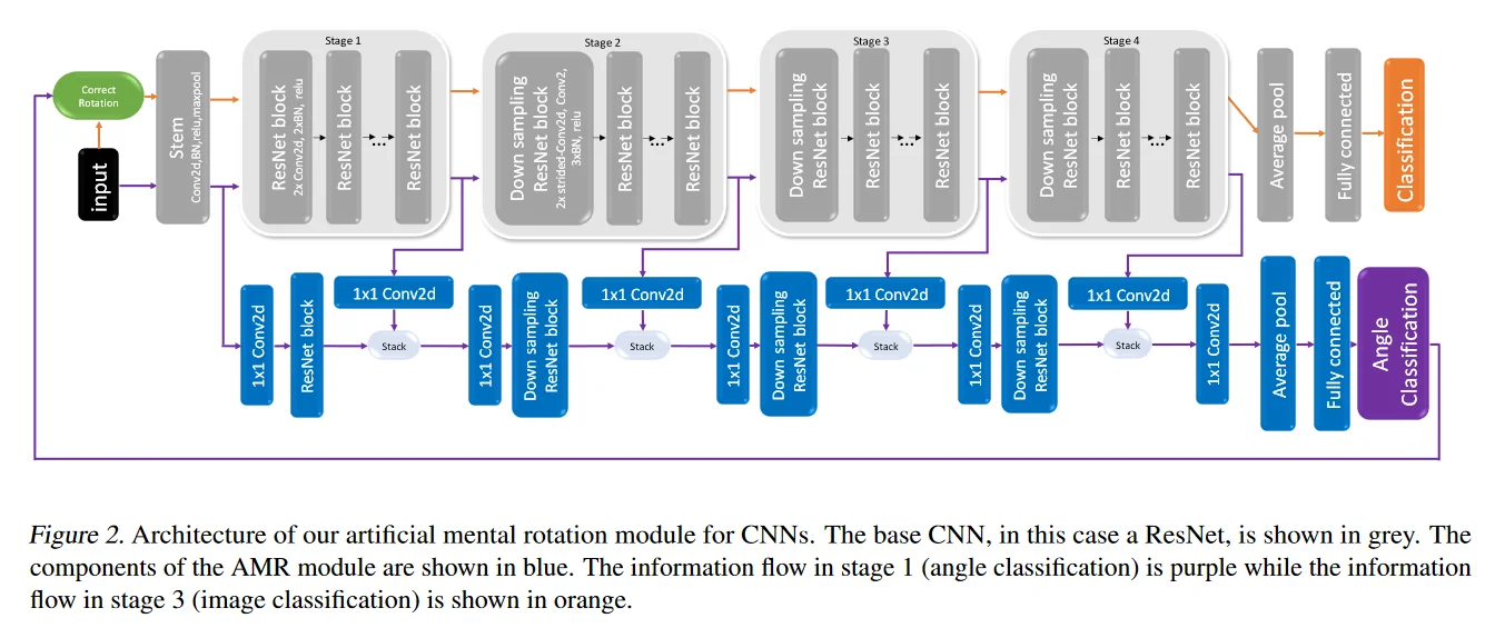 CNN不变性和等变性比较图,旋转图像分类示例