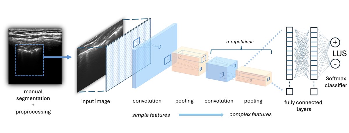 CNN卷积神经网络架构示意图，展示图像特征提取过程